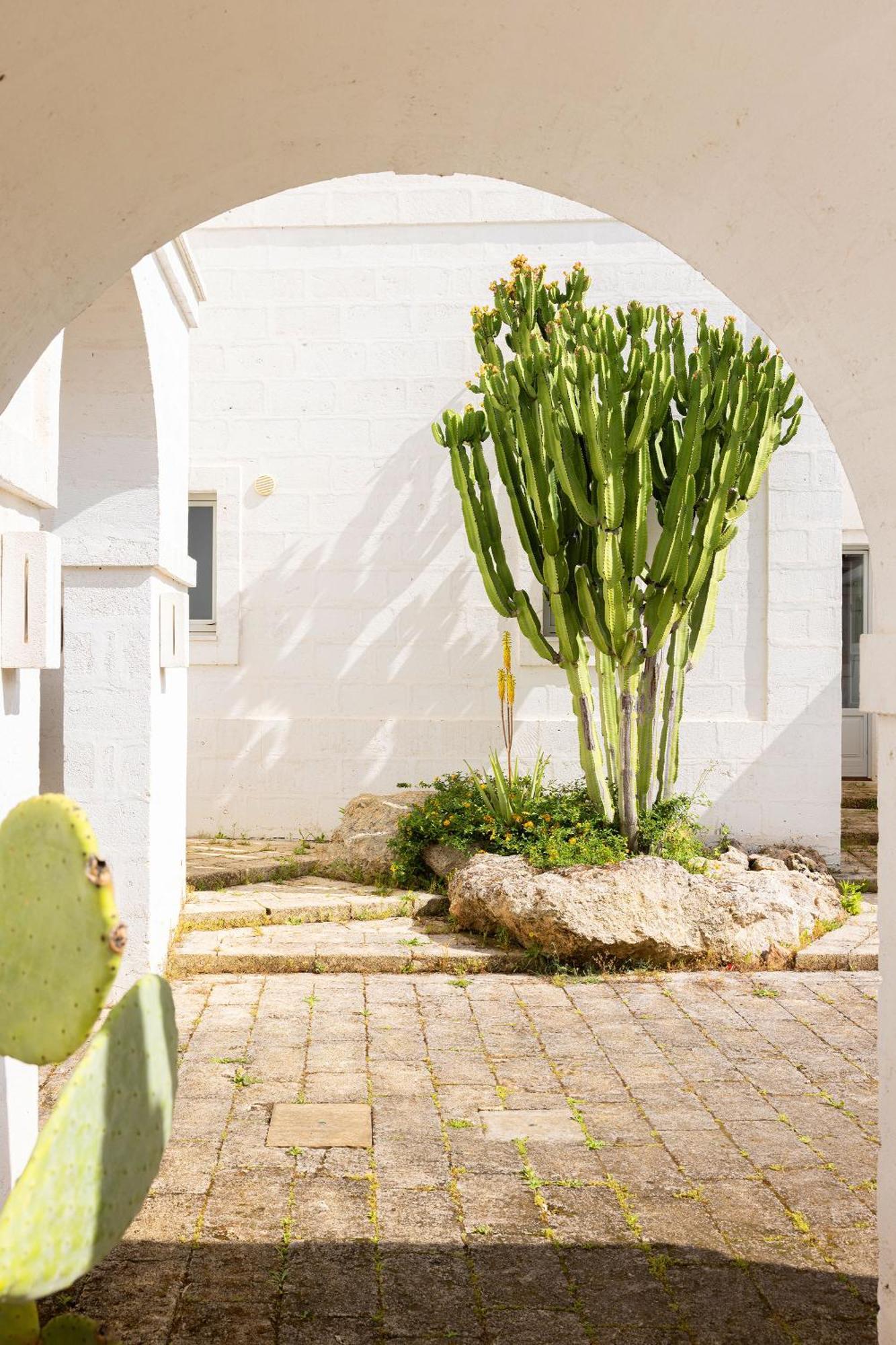 Masseria San Francesco Savelletri Eksteriør bilde
